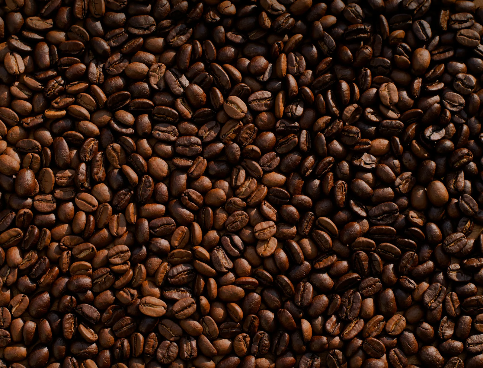 Morning Roast Classic Grind